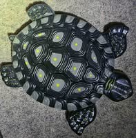Tipping Turtle Farms