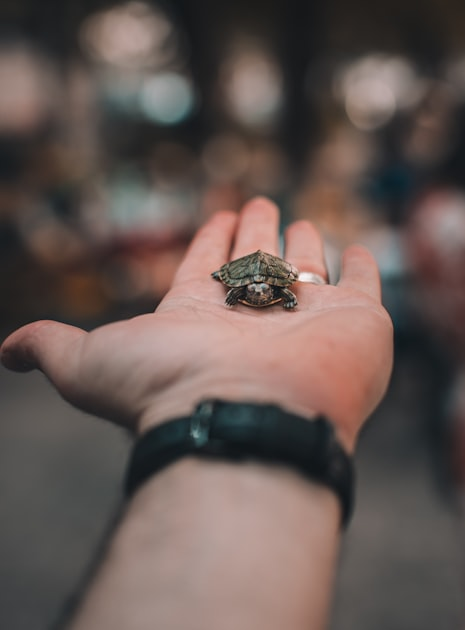The Role of Non-Profits in Rehabilitation
